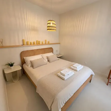 Apartman Charming 1-bedroom With Terrace In The Heart Of Perpignan